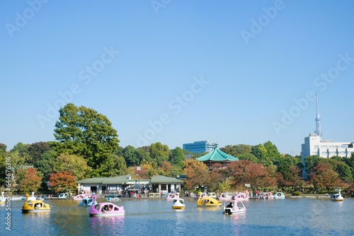 Fotografie swan boat on the Ueno park lake