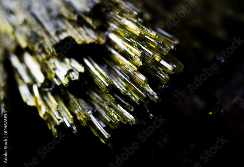 Epidote - Courtney Dimoff 