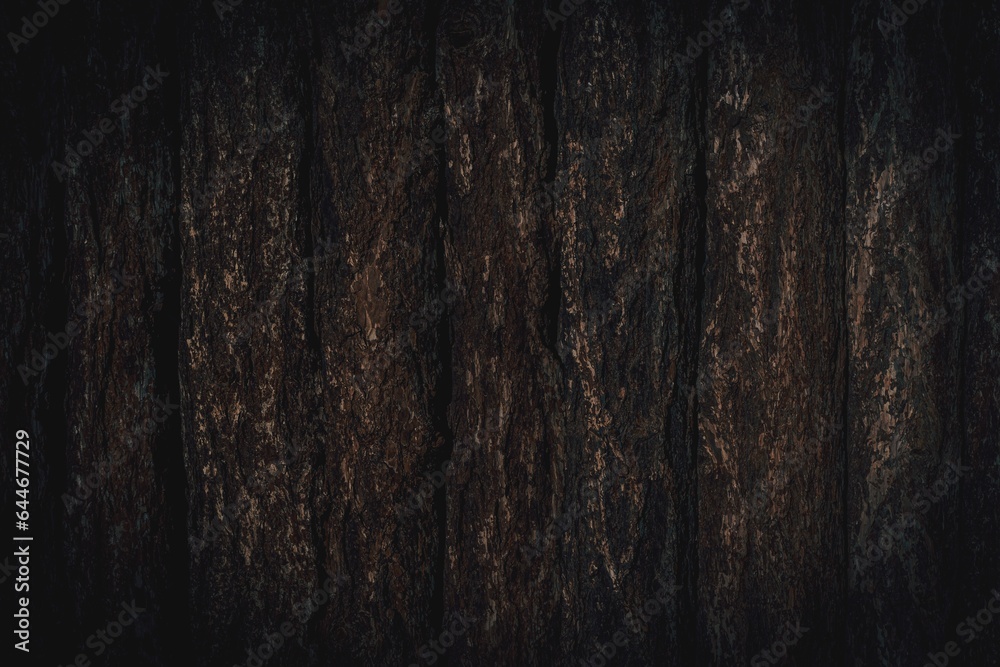 Naklejka premium Dark bark in a row