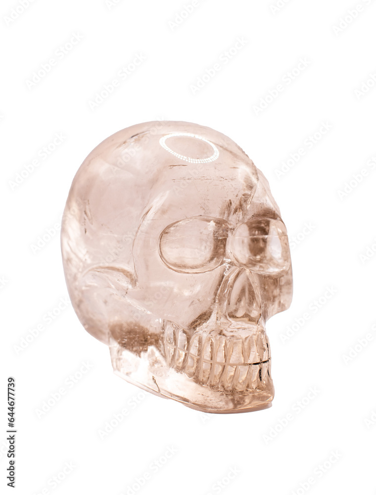 Obraz premium crystal human skull isolated on a transparent background 