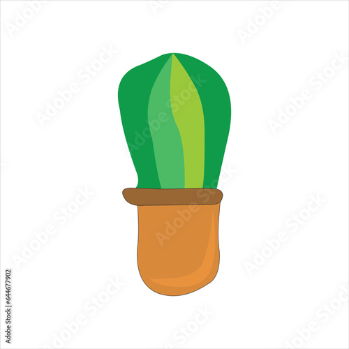 Cactus tree potted brown ready to decorate the house