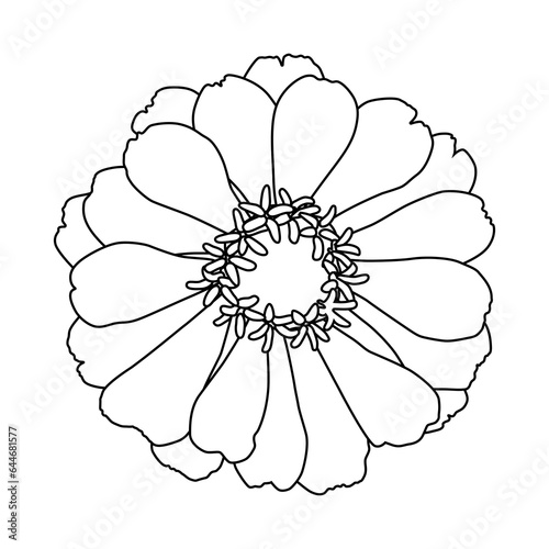Fotografi Outline of an autumn flower, chrysanthemum, zinnia