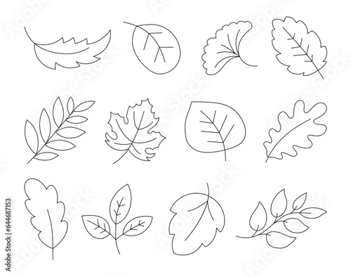 Cartoon autumn leaves. Coloring Page. Hand drawn style. Botanical. Vector drawing. Collection of design elements.