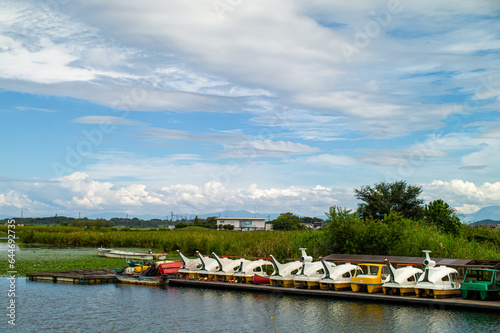 boat on the river