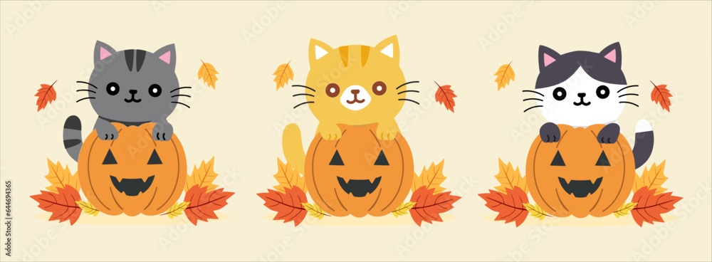 Set of cute cats and pumpkins with autumn leaves. flat design, sticker, and clipart with vector Illustrations Set of cute cats and pumpkins with autumn leaves. flat design, sticker, and clipart with vector Illustrations