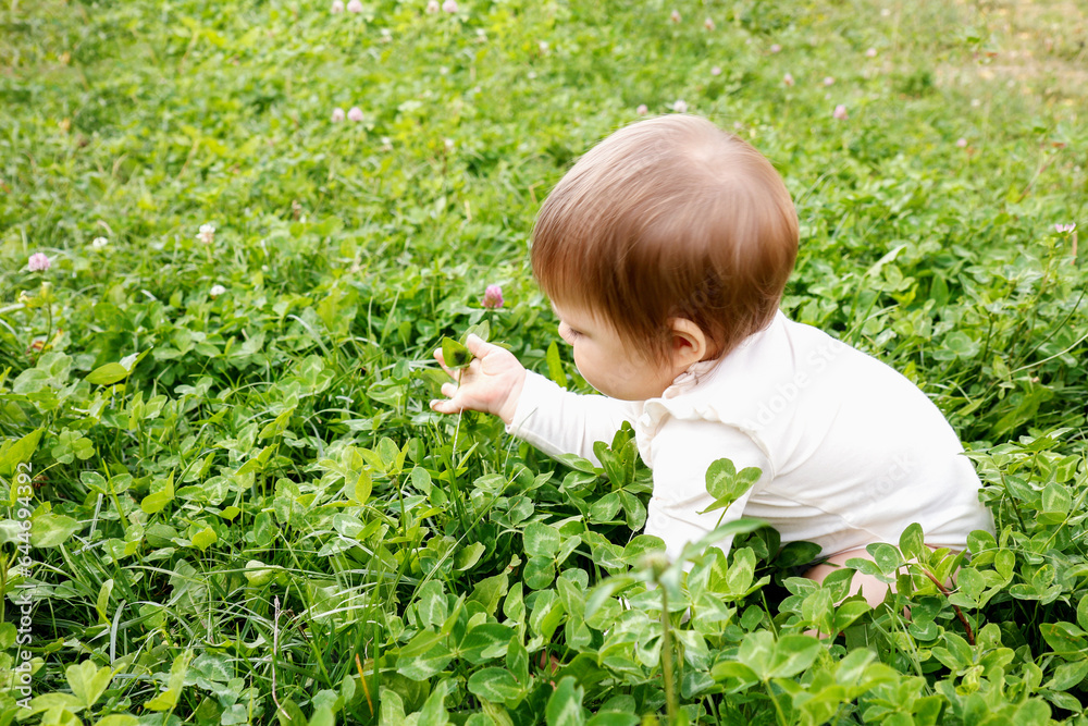 the baby crawls on a blooming clover carefully looking at it the baby crawls on a blooming clover carefully looking at it