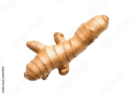 Ginger root isolated on transparent background