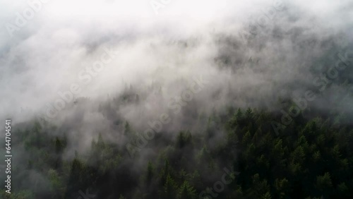 A drone shot above low-lying clouds, over the trees of Redwood National Forest in Northern California, USA. The camera begins looking straight down, then tilts up, to reveal the sun in the sky. photo