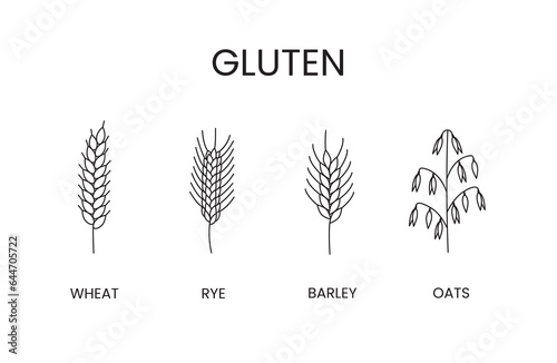 Cereals containing gluten vector line icons set. Food allergens oats and barley, rye and wheat