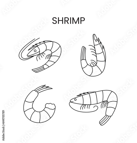Shrimp line icons set vector. Seafood illustration.