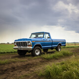 blue vintage pickup in the field