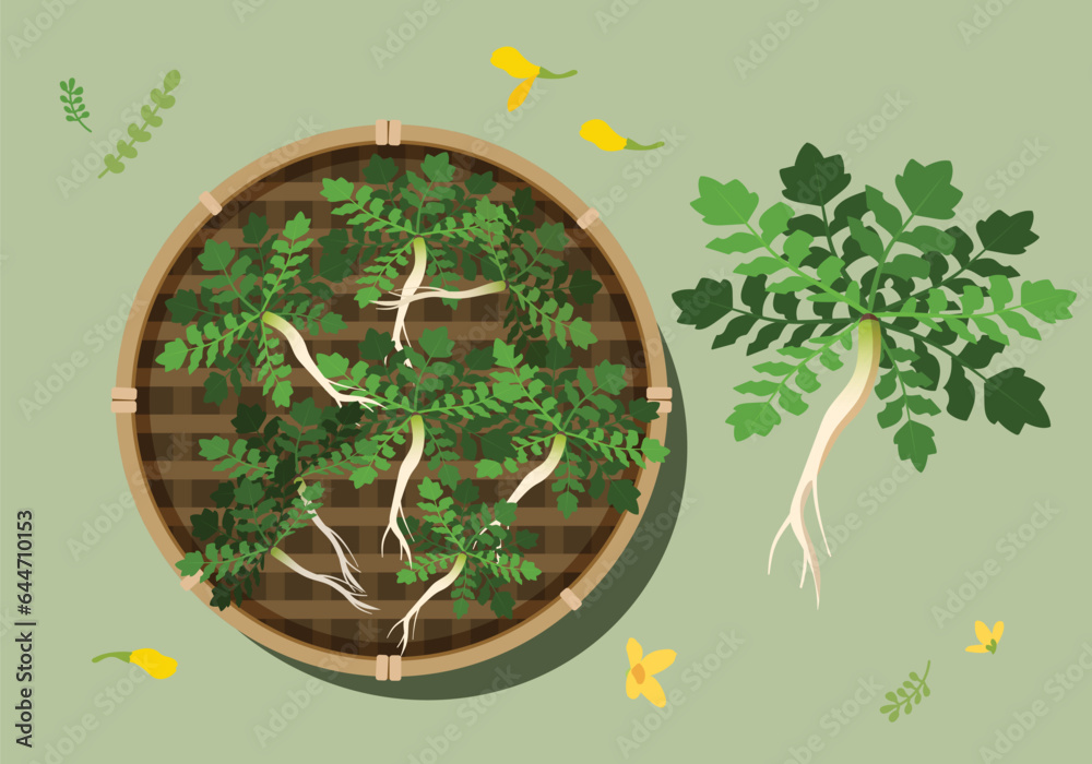 Vetor de 나물 일러스트 do Stock | Adobe Stock