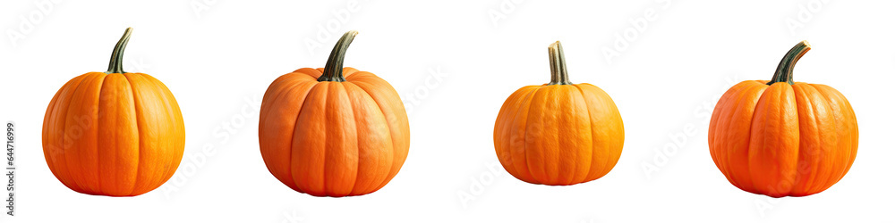 Ripe pumpkin against transparent background Ripe pumpkin against transparent background