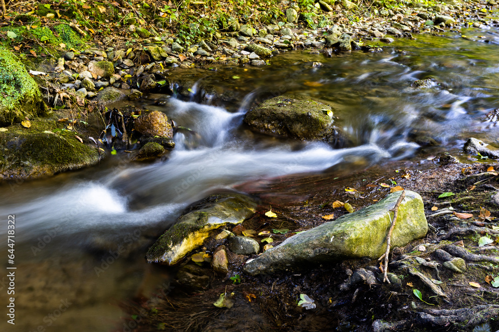 Fototapeta premium Peaceful steam in the forest - long exposure