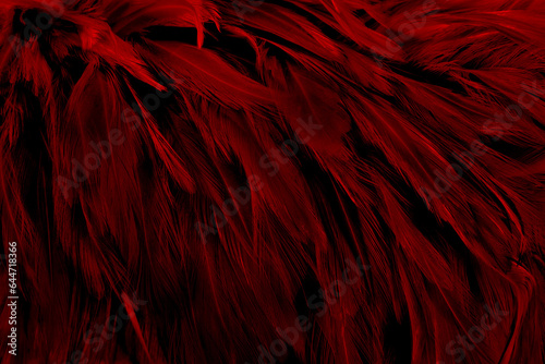 Beautiful dark red bird feathers pattern texture background.