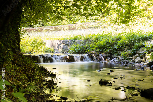 Peaceful steam in the forest - long exposure