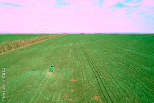 tractor processes a green wheat field