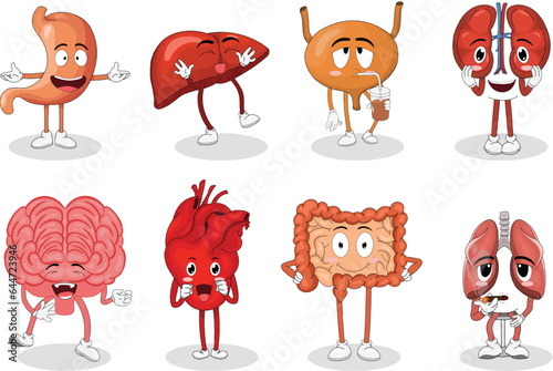 Vector cute characters of human internal organs