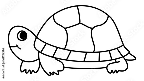 Turtle - Cute Tortoise Doodle Art for Education in Preschool and Kindergarten, Identifying One Type of the Reptile, a Symbol of Serenity, Marine Beauty, and Heartwarming Moments of Natural Wonder