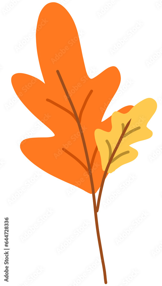 Obraz premium Autumn Leaf Element