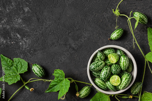 Fresh organic melothria scabra or sour gherkin, mouse watermelon on black background. Healthy food. Organic vegetables. Top view photo