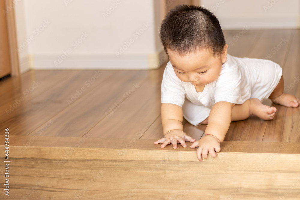 赤ちゃんと玄関の段差(男の子、0歳、生後9か月、日本人) 赤ちゃんと玄関の段差(男の子、0歳、生後9か月、日本人)