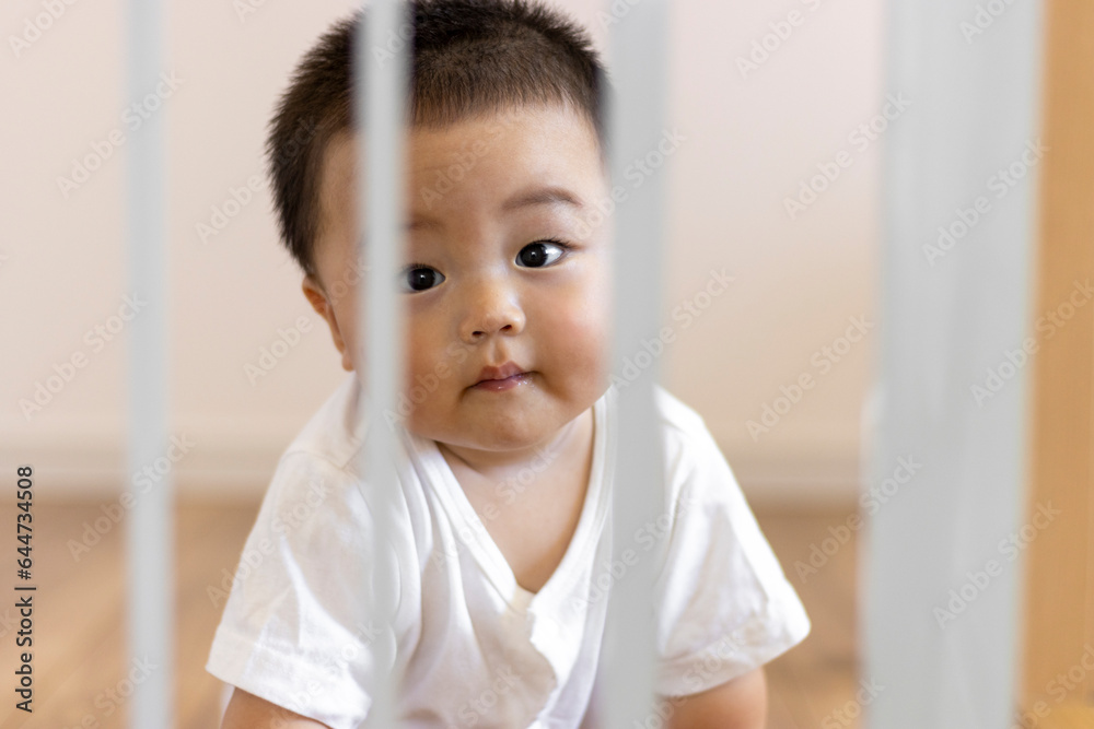赤ちゃんとベビーゲート（男の子、０歳、生後９か月、日本人）