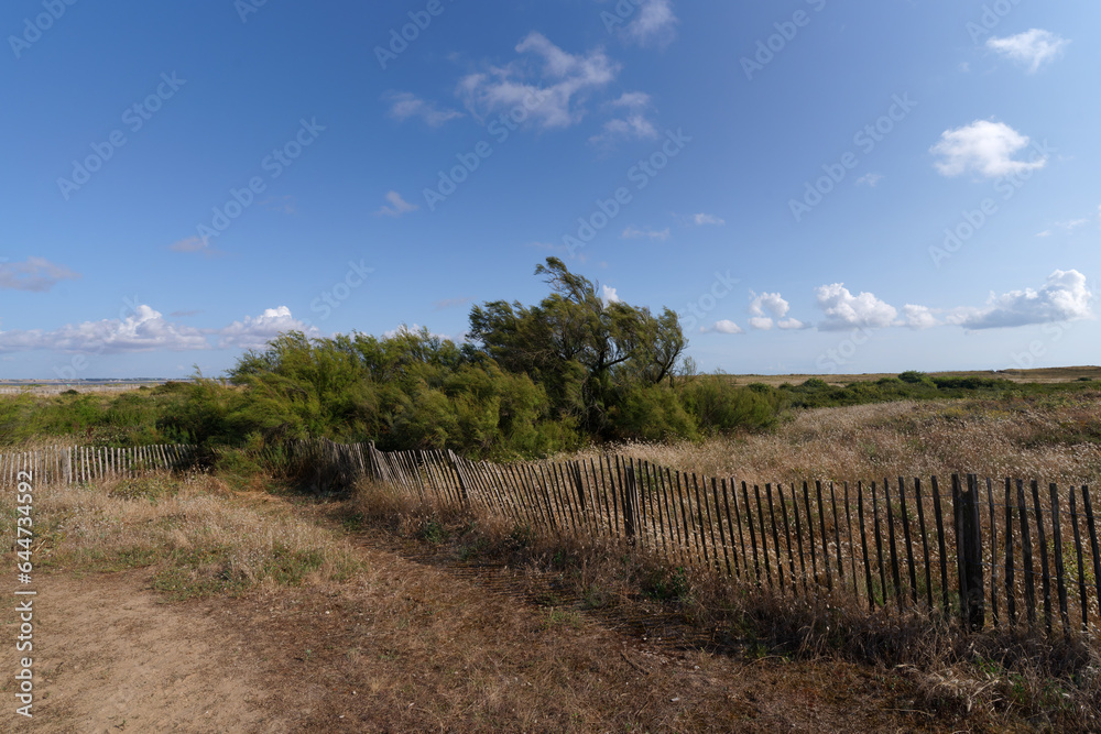 Nature reserve of the Point of the Aiguillon bay Nature reserve of the Point of the Aiguillon bay