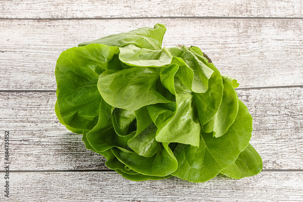 Fototapeta premium Salad leaves heap for snack