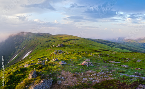 Early morning summer mountain panorama