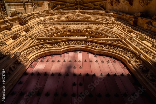 Detailed view from below of the ornaments of the red wooden main door with wrought iron motifs and the cornice with bas-reliefs of fantastic animals of the New Cathedral of Salamanca sunset lighting. photo