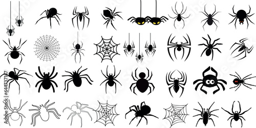 vector illustration of a bunch of spiders crawling on a white. The spiders are of different species and sizes, rendered in a realistic style. perfect for use in education, science, spooky decoration.