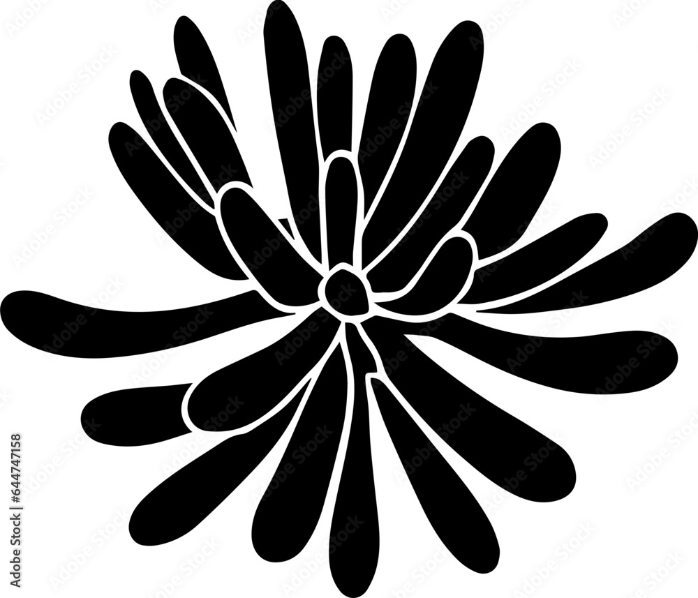 Obraz premium Ceratophyllaceae icon 1