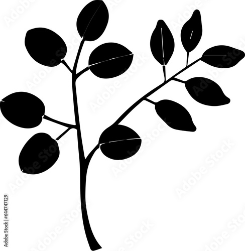 Cercidiphyllaceae icon