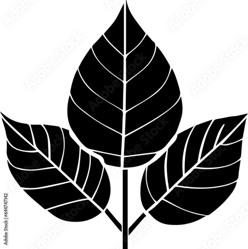 Chloranthaceae icon 1