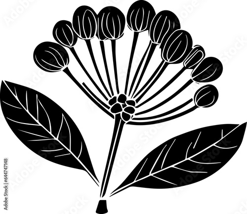 Chrysobalanaceae icon