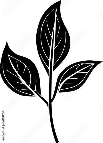 Chloranthaceae icon 2