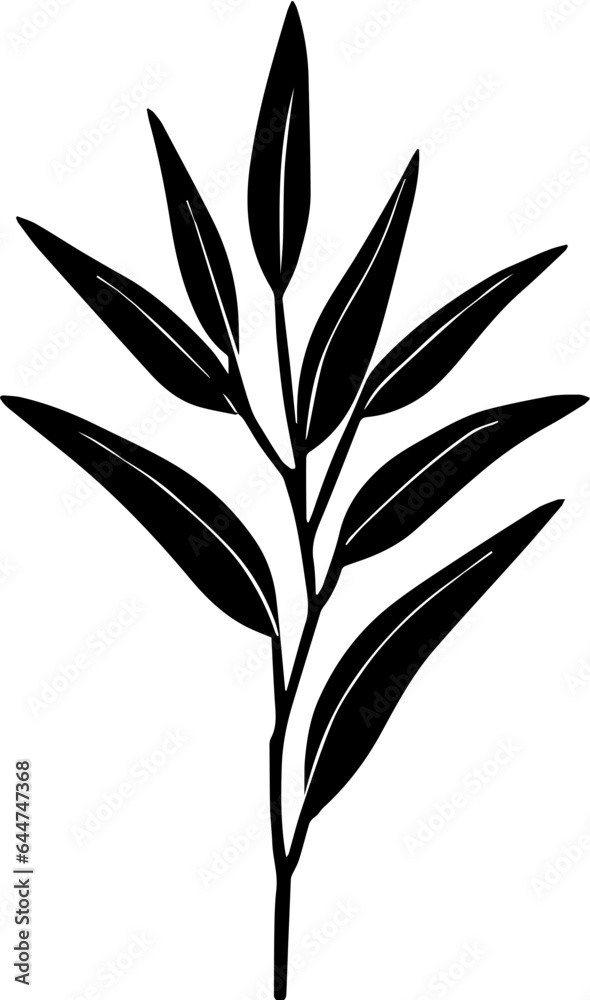 Canellaceae icon