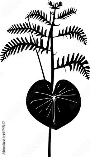 Cardiopteridaceae icon 3 photo