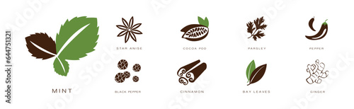 Spice and Herbs for Culinary and Cooking Vector Set