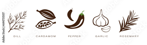Spice and Herbs for Culinary and Cooking Vector Set
