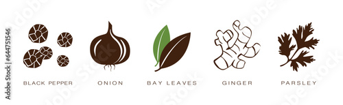 Spice and Herbs for Culinary and Cooking Vector Set