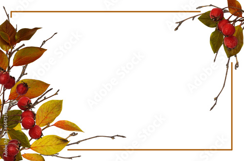 Autumn frame from dry twigs...