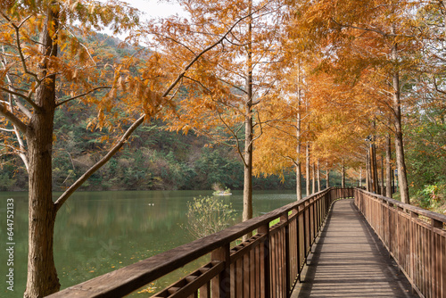 Gijang Yongso Well-being Park autumn scenery in Busan, Korea