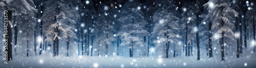 Winter themed banner with copy space for winter holidays like Christmas and New Year. © Moonlight Graphics