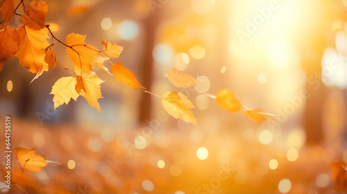 Sunlit Park with Vibrant Orange and Golden Leaves with Blurred Background