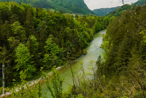 Fotografia green canyon with trees and a river in the mountains of austria