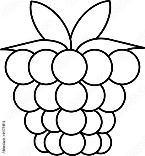 Raspberry Icon In Black Outline.