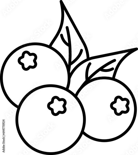 Lingonberry Icon In Black Line Art.