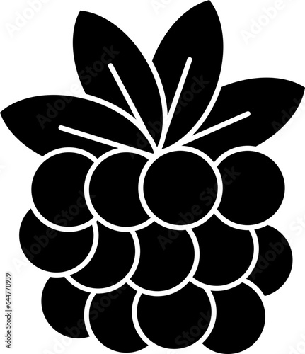 Blackberry Icon In B&W Color.